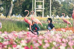 BIB: 
                            <button type="button" onclick="openModal(27344118)" class="btn btn-primary btn-sm float-right btn-popup" data-toggle="modal" data-target=".modal-high-quality">
                        <i class="fas fa-shopping-cart"></i> Add to Cart
                    </button>
                                            <button type="button" onclick="isThisMe(27344118, true)" class="btn btn-success btn-sm float-right btn-popup btn-isme hidden" data-toggle="tooltip" data-placement="bottom" title="นี่คือรูปของคุณใช่ไหม คลิกที่นี่เพื่อเอาเข้าอัลบั้ม">
                        <i class="fas fa-plus"></i> Add to album
                    </button>
                    <button type="button" onclick="isThisMe(27344118, false)" class="btn btn-warning btn-sm float-right btn-popup btn-isnotme hidden">
                        <i class="fas fa-ban"></i> Remove from album
                    </button>